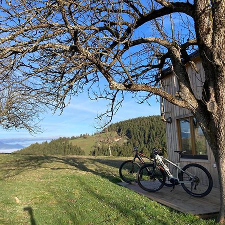 Tiny House Villa Mislinja Bagian luar foto