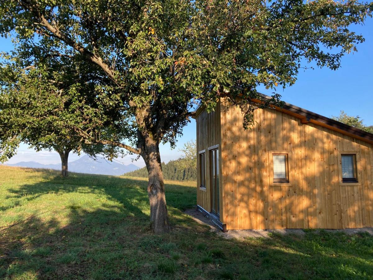 Tiny House Villa Mislinja Bagian luar foto