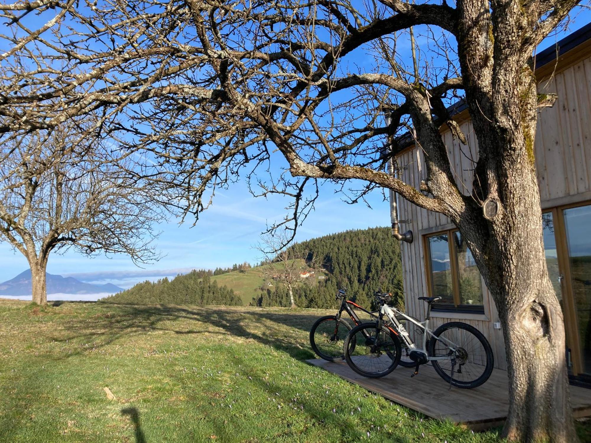 Tiny House Villa Mislinja Bagian luar foto